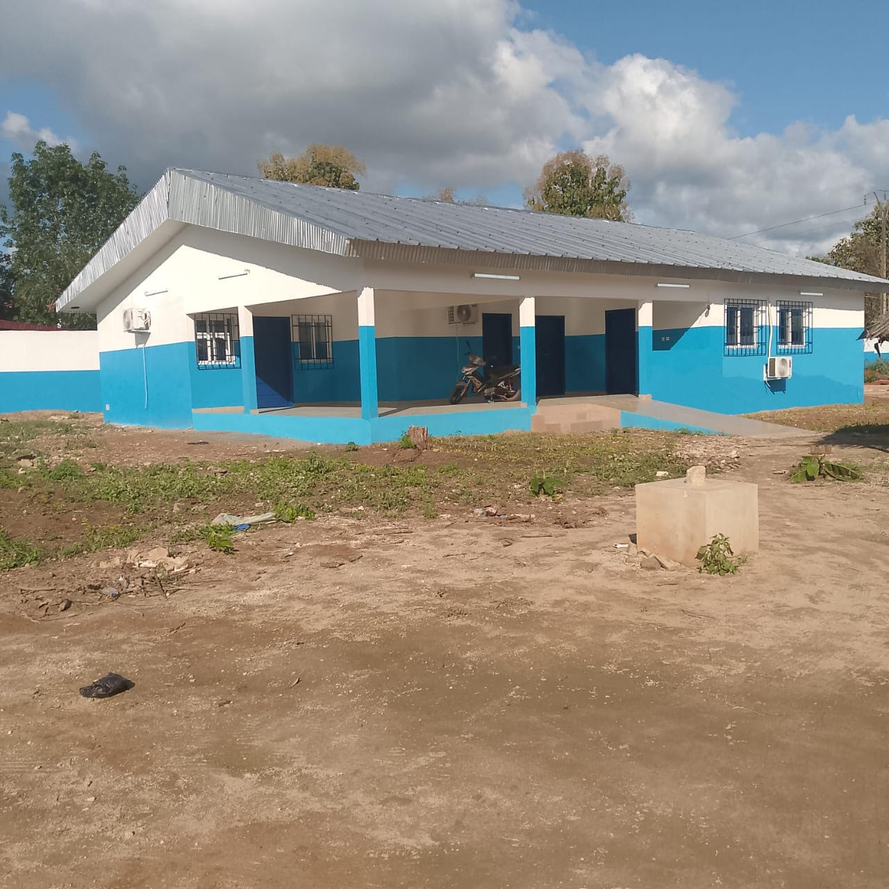 Cocoa plantation in Ivory Coast